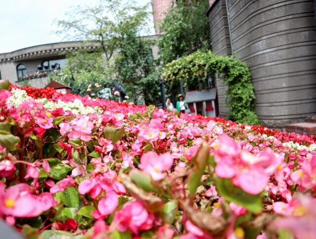 f:id:bluemoonbell:20240711143611j:image