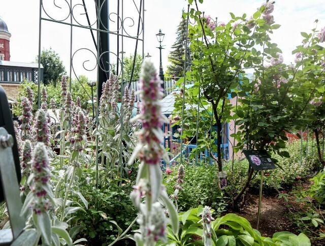 f:id:bluemoonbell:20240711143817j:image