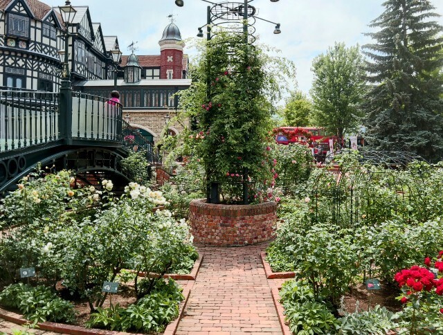 f:id:bluemoonbell:20240711143827j:image