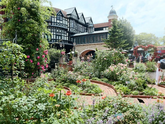 f:id:bluemoonbell:20240711143835j:image