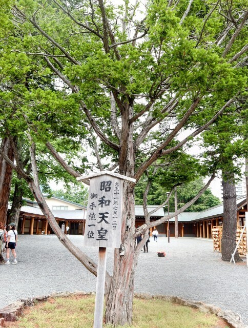 f:id:bluemoonbell:20240807132338j:image