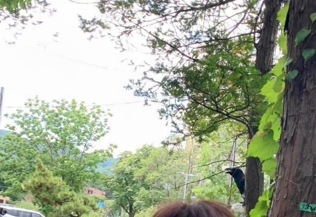 f:id:bluemoonbell:20240811110201j:image