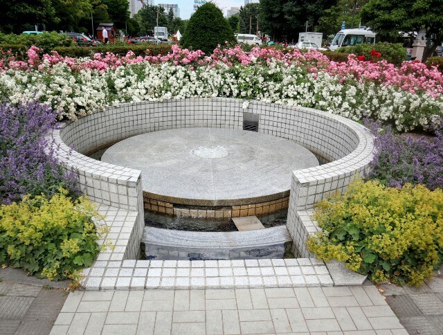 f:id:bluemoonbell:20240822090230j:image