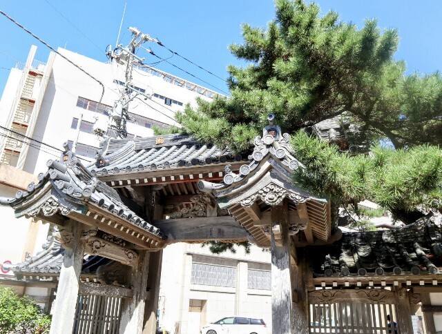 f:id:bluemoonbell:20240920193642j:image f:id:bluemoonbell:20240920193642j:image