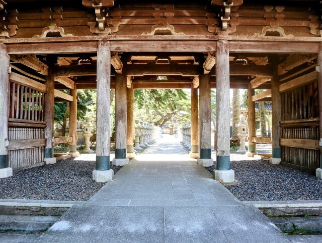 f:id:bluemoonbell:20240920193854j:image f:id:bluemoonbell:20240920193854j:image