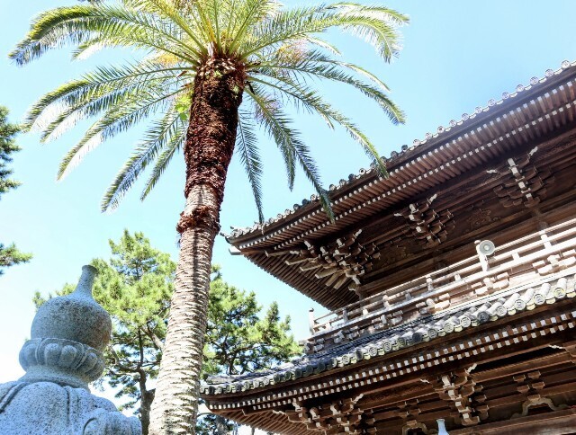 f:id:bluemoonbell:20240920194546j:image f:id:bluemoonbell:20240920194546j:image