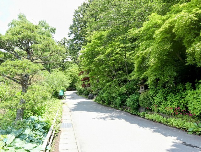 f:id:bluemoonbell:20241002134634j:image f:id:bluemoonbell:20241002134634j:image