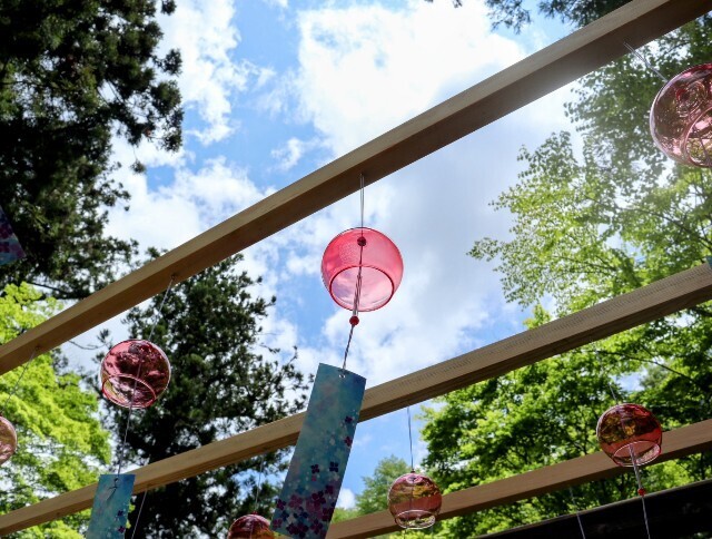 f:id:bluemoonbell:20241002134649j:image f:id:bluemoonbell:20241002134649j:image