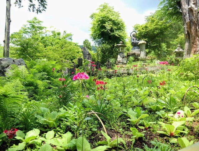 f:id:bluemoonbell:20241002134926j:image f:id:bluemoonbell:20241002134926j:image