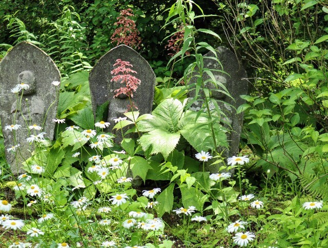 f:id:bluemoonbell:20241002135040j:image f:id:bluemoonbell:20241002135040j:image