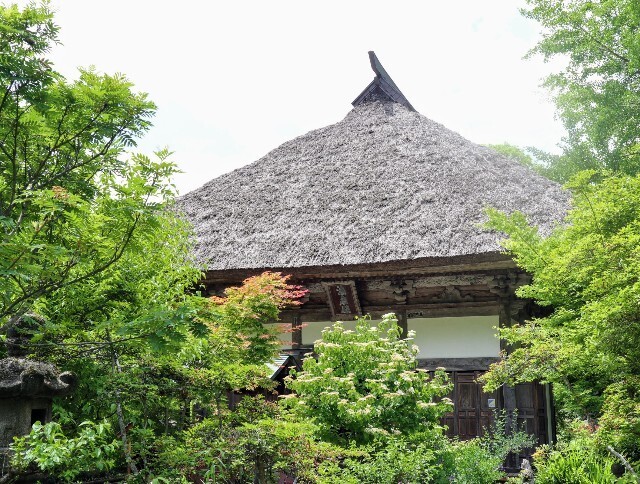 f:id:bluemoonbell:20241002140010j:image