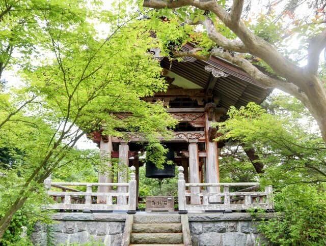 f:id:bluemoonbell:20241002140649j:image