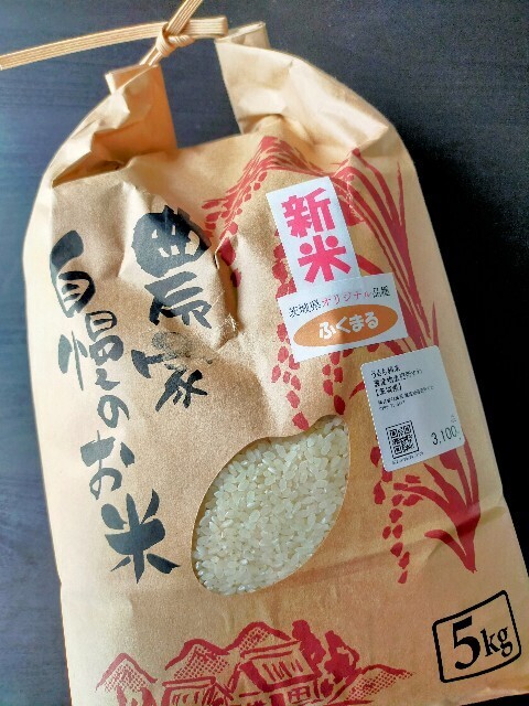 f:id:bluemoonbell:20241005130145j:image