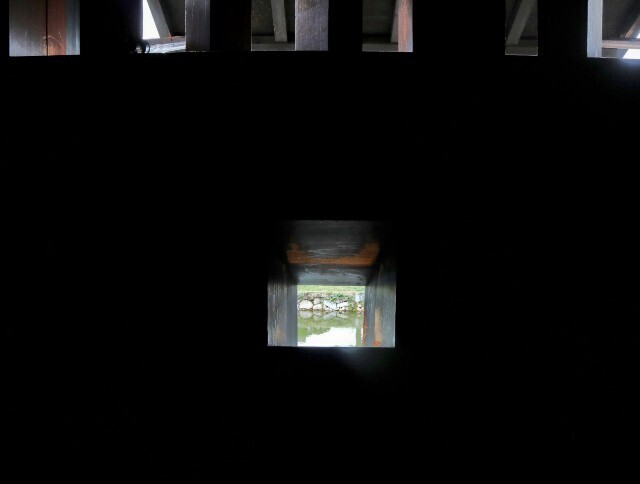 f:id:bluemoonbell:20241014141008j:image f:id:bluemoonbell:20241014141008j:image