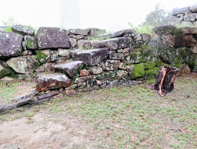 f:id:bluemoonbell:20241014141025j:image f:id:bluemoonbell:20241014141025j:image