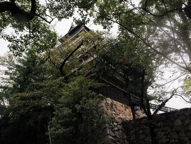 f:id:bluemoonbell:20241014141329j:image f:id:bluemoonbell:20241014141329j:image