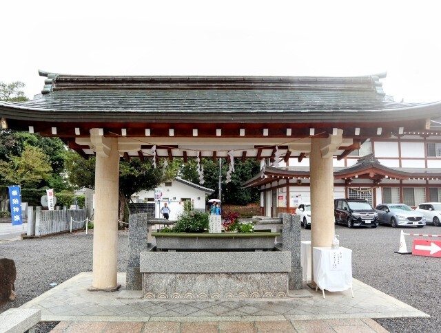 f:id:bluemoonbell:20241014142029j:image