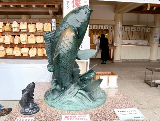 f:id:bluemoonbell:20241014142308j:image