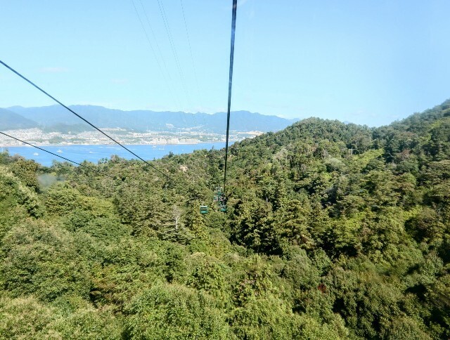 f:id:bluemoonbell:20241114125657j:image f:id:bluemoonbell:20241114125657j:image