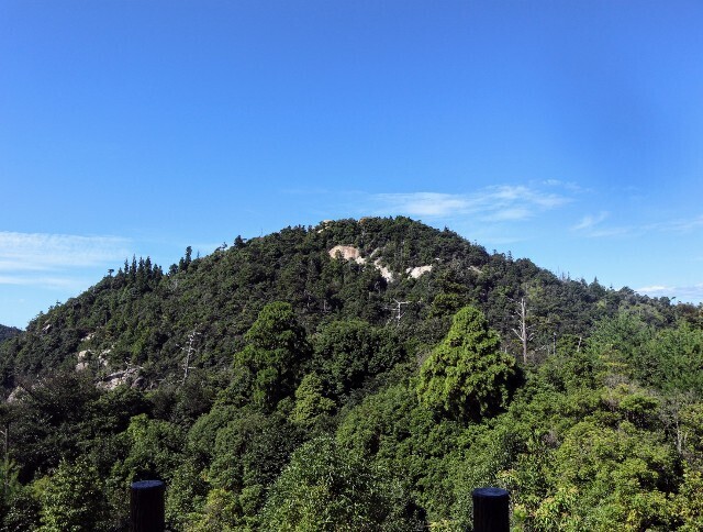 f:id:bluemoonbell:20241114125723j:image f:id:bluemoonbell:20241114125723j:image