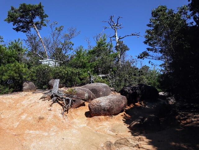 f:id:bluemoonbell:20241114125831j:image f:id:bluemoonbell:20241114125831j:image