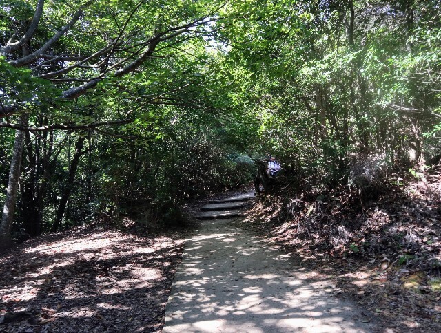 f:id:bluemoonbell:20241114125838j:image f:id:bluemoonbell:20241114125838j:image