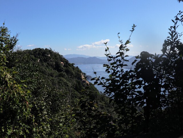 f:id:bluemoonbell:20241114125847j:image f:id:bluemoonbell:20241114125847j:image