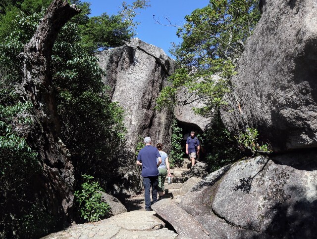 f:id:bluemoonbell:20241114130426j:image f:id:bluemoonbell:20241114130426j:image