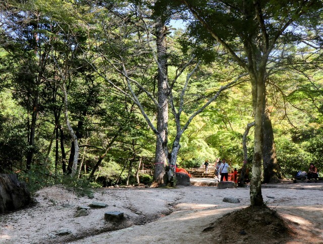 f:id:bluemoonbell:20241114131330j:image f:id:bluemoonbell:20241114131330j:image