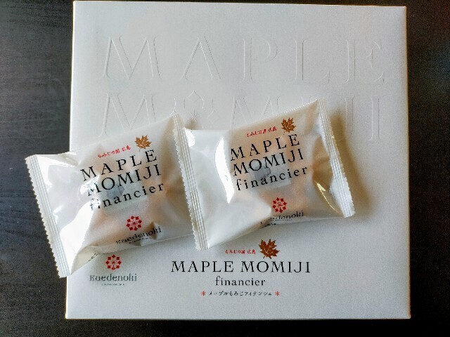 f:id:bluemoonbell:20241220151359j:image