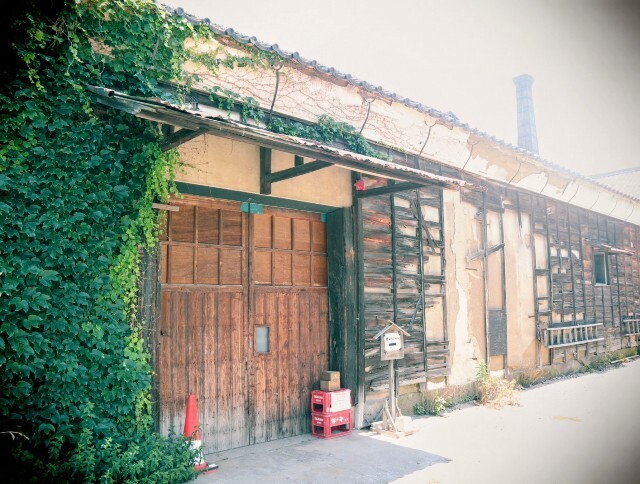 f:id:bluemoonbell:20241229142408j:image