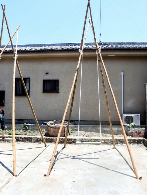 f:id:bluemoonbell:20241229142654j:image