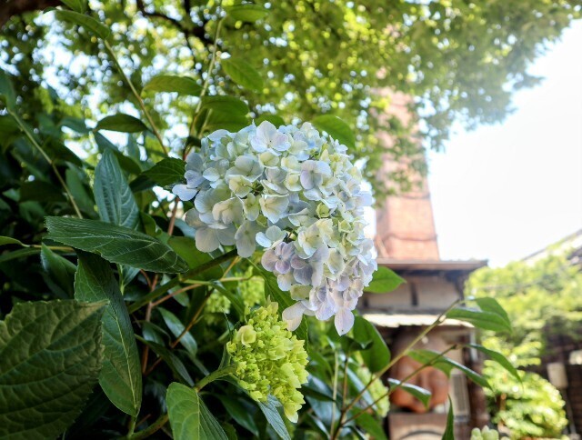 f:id:bluemoonbell:20241229142832j:image