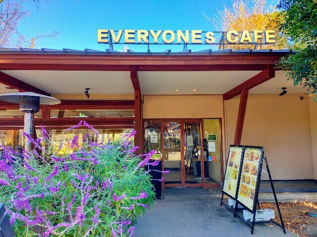 f:id:bluemoonbell:20250112131433j:image f:id:bluemoonbell:20250112131433j:image