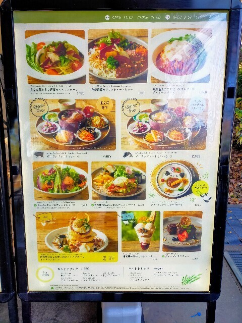 f:id:bluemoonbell:20250112131709j:image f:id:bluemoonbell:20250112131709j:image