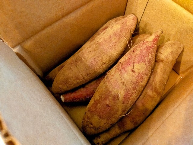 f:id:bluemoonbell:20250117094229j:image