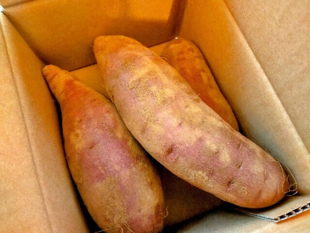 f:id:bluemoonbell:20250117094238j:image