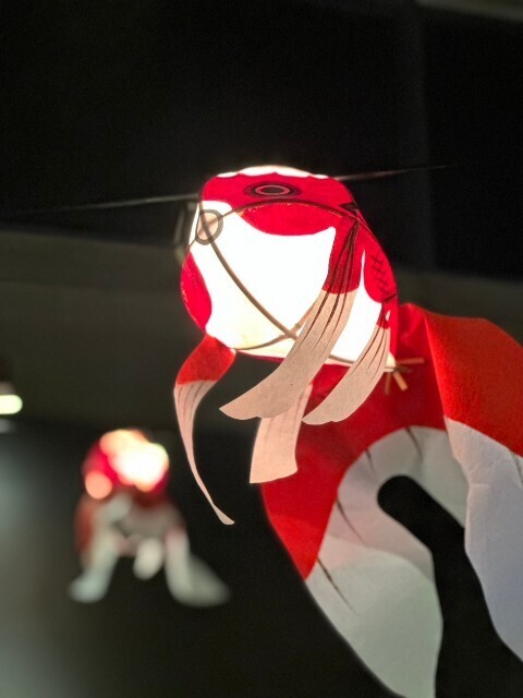 f:id:bluemoonbell:20250125145825j:image f:id:bluemoonbell:20250125145825j:image