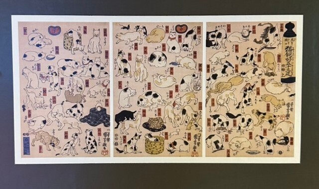 f:id:bluemoonbell:20250125163418j:image f:id:bluemoonbell:20250125163418j:image