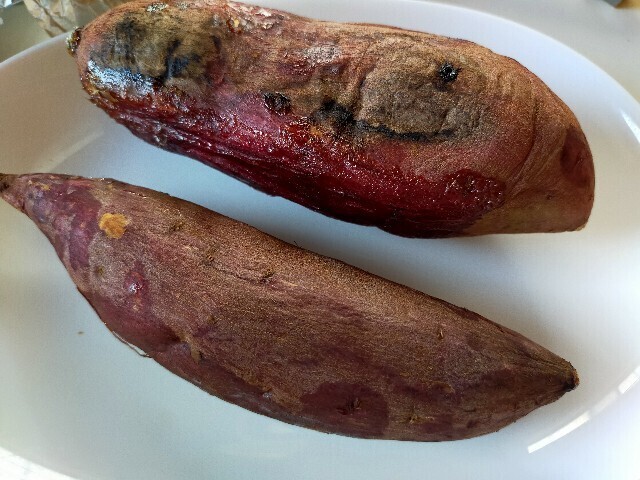 f:id:bluemoonbell:20250201151805j:image