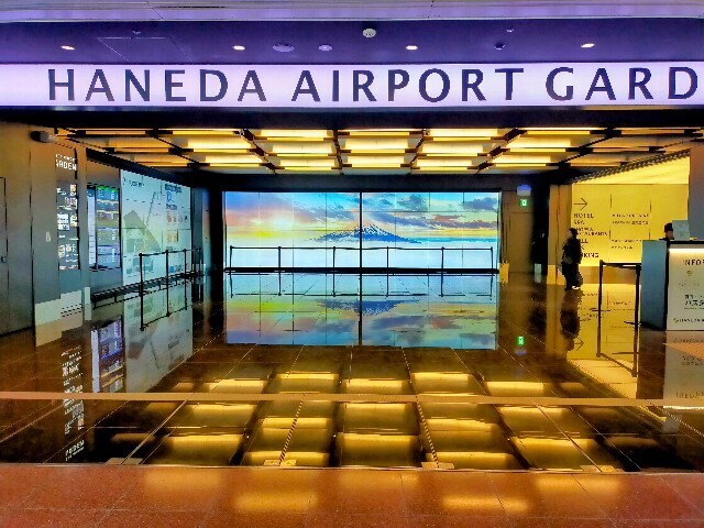 f:id:bluemoonbell:20250203094736j:image