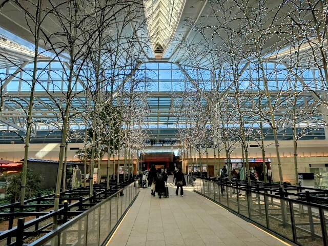 f:id:bluemoonbell:20250204192148j:image f:id:bluemoonbell:20250204192148j:image