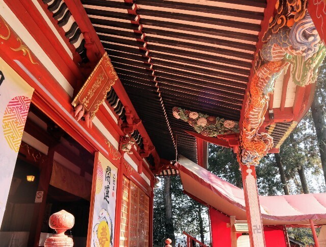f:id:bluemoonbell:20250208111455j:image