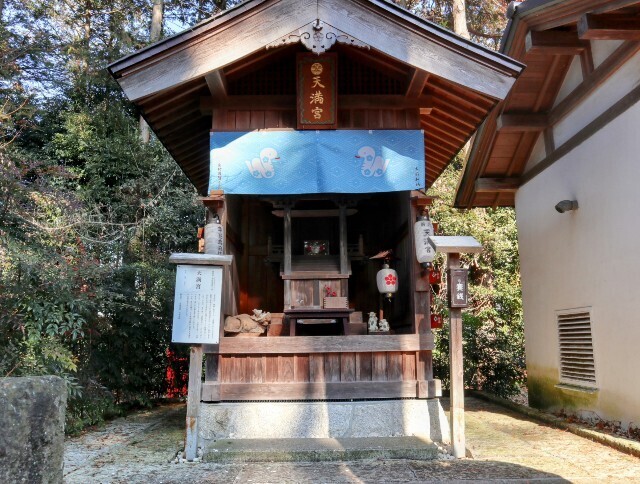 f:id:bluemoonbell:20250208112222j:image