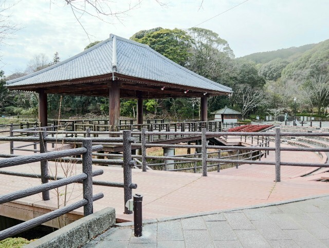 f:id:bluemoonbell:20250419160128j:image f:id:bluemoonbell:20250419160128j:image