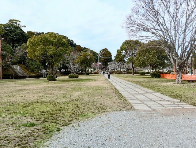 f:id:bluemoonbell:20250419160136j:image f:id:bluemoonbell:20250419160136j:image