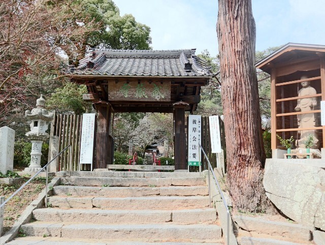 f:id:bluemoonbell:20250419160144j:image f:id:bluemoonbell:20250419160144j:image