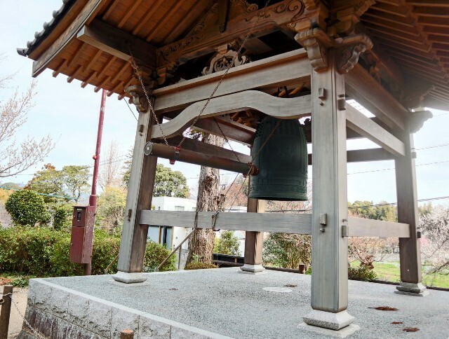 f:id:bluemoonbell:20250419160152j:image f:id:bluemoonbell:20250419160152j:image