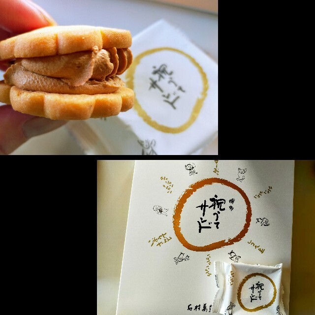 f:id:bluemoonbell:20250420164549j:image f:id:bluemoonbell:20250420164549j:image