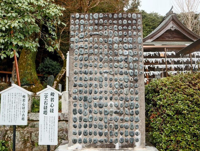 f:id:bluemoonbell:20250420194432j:image f:id:bluemoonbell:20250420194432j:image